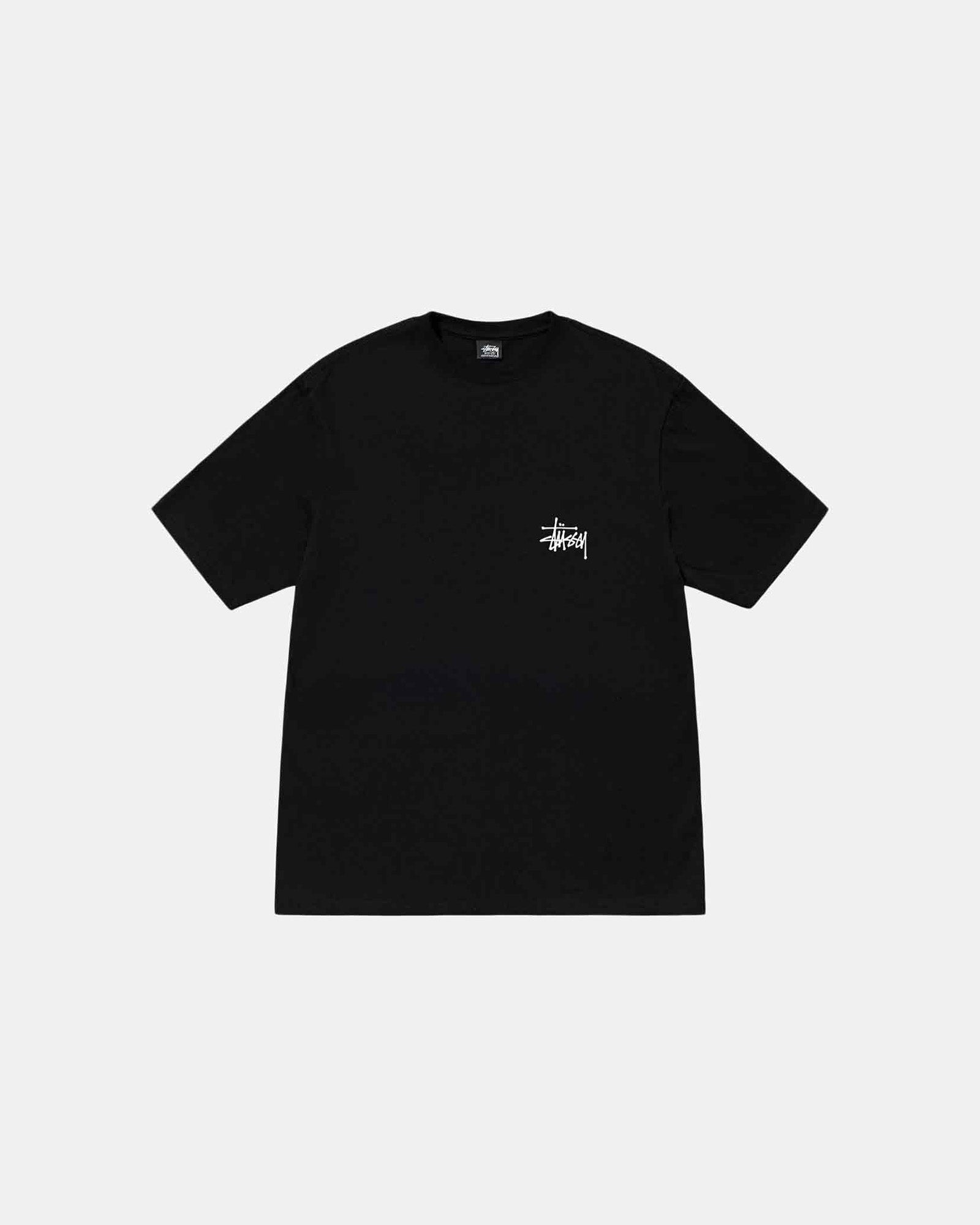 stussy ロゴ ストア t シャツ